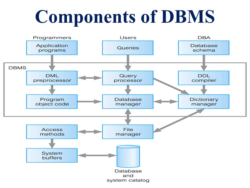 Components of DBMS