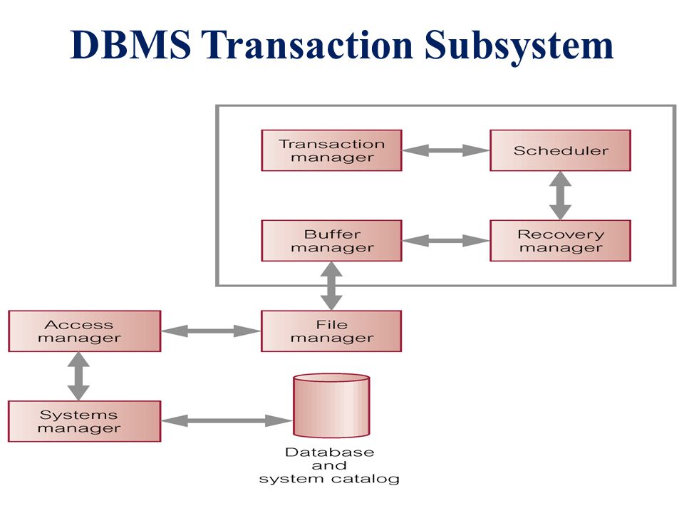 DBMS Transaction Subsystem
