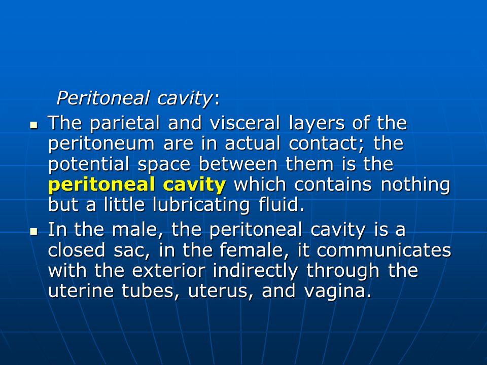 no. 8 1. peritoneum.