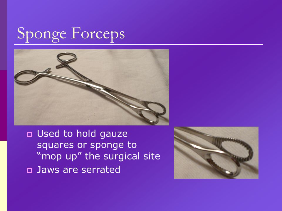 Sponge Forceps Used to hold gauze squares or sponge to mop up the surgical site Jaws are serrated