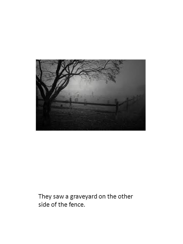 They saw a graveyard on the other side of the fence.