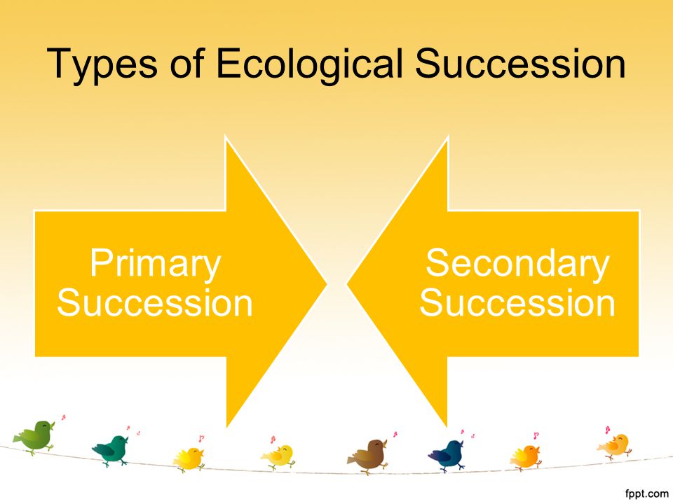 Types of Ecological Succession