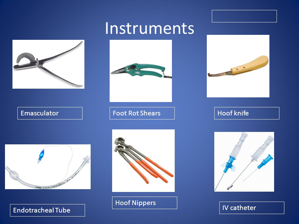 Instruments Emasculator Foot Rot Shears Hoof knife Hoof Nippers