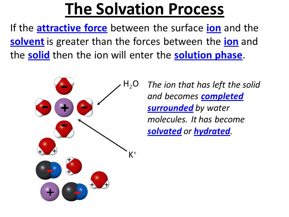 The Solvation Process + +