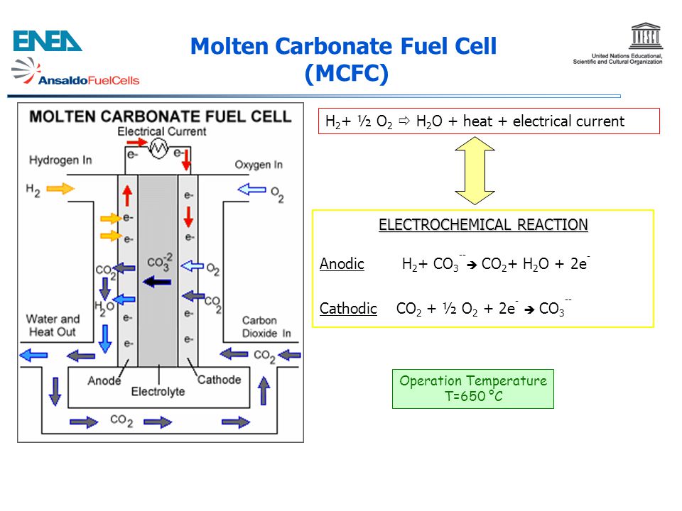 Molten Carbonate Fuel Cell (MCFC)