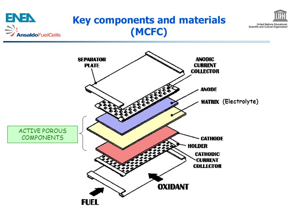 Key components and materials (MCFC)
