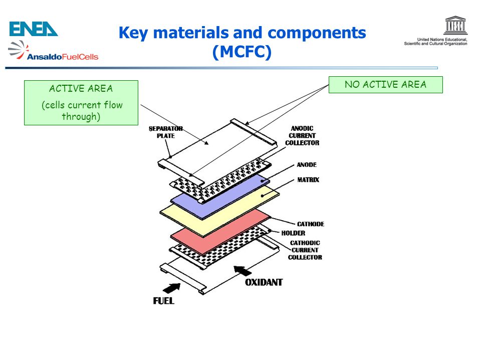 Key materials and components (MCFC)