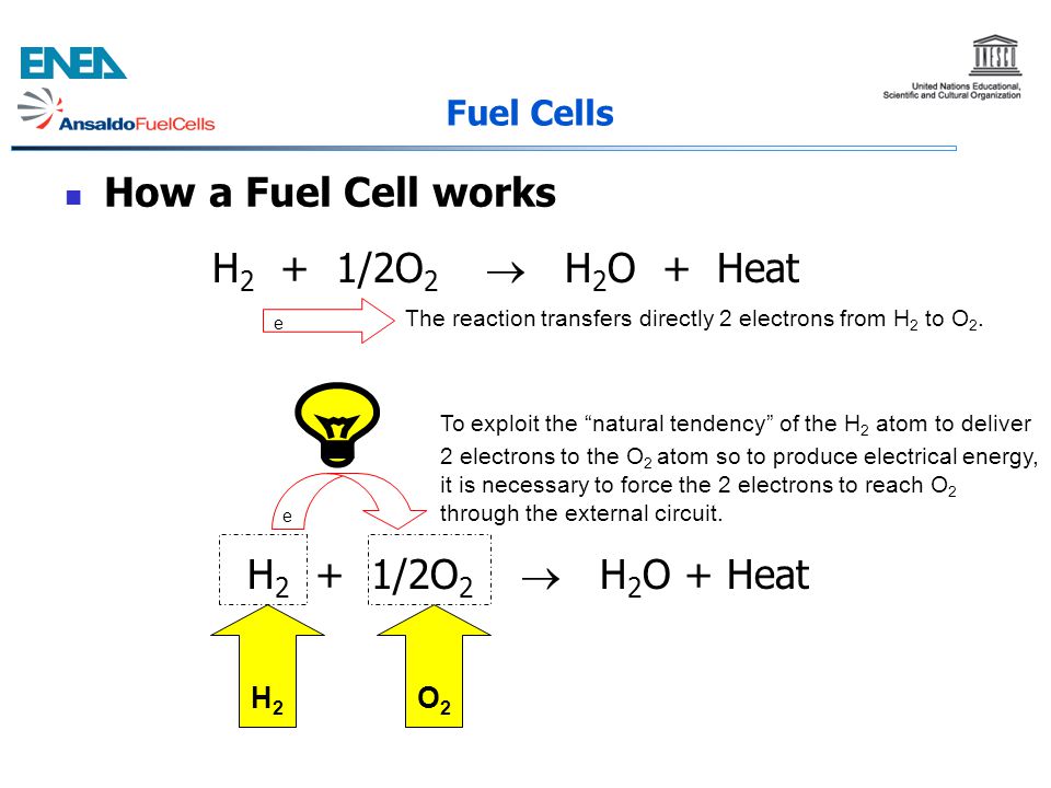 How a Fuel Cell works H2 + 1/2O2  H2O + Heat H2 + 1/2O2  H2O + Heat