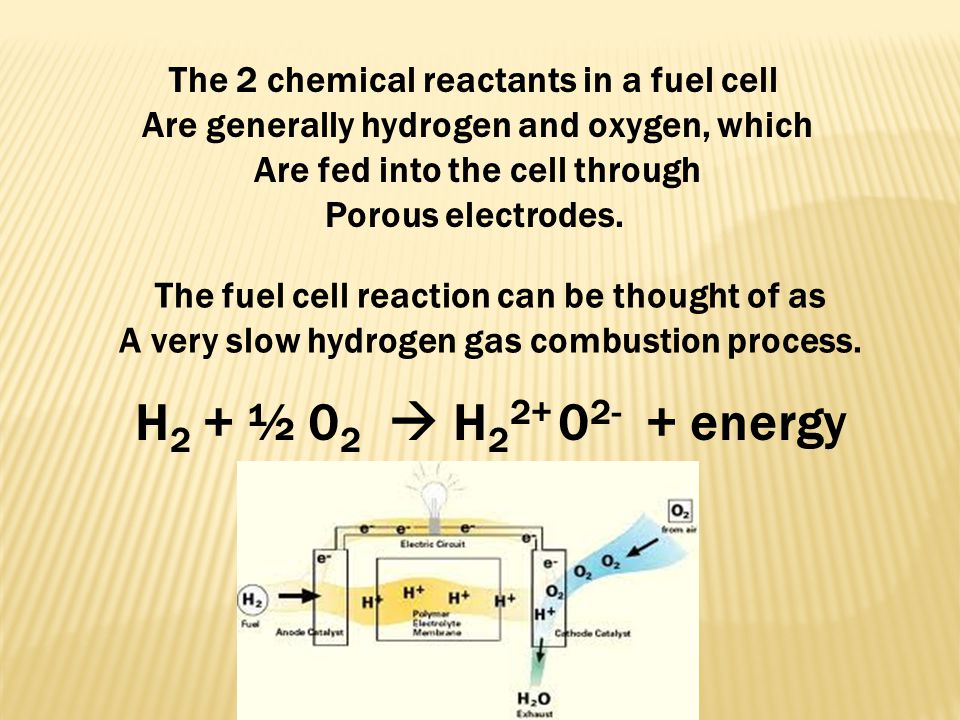 H2 + ½ 02  H energy The 2 chemical reactants in a fuel cell