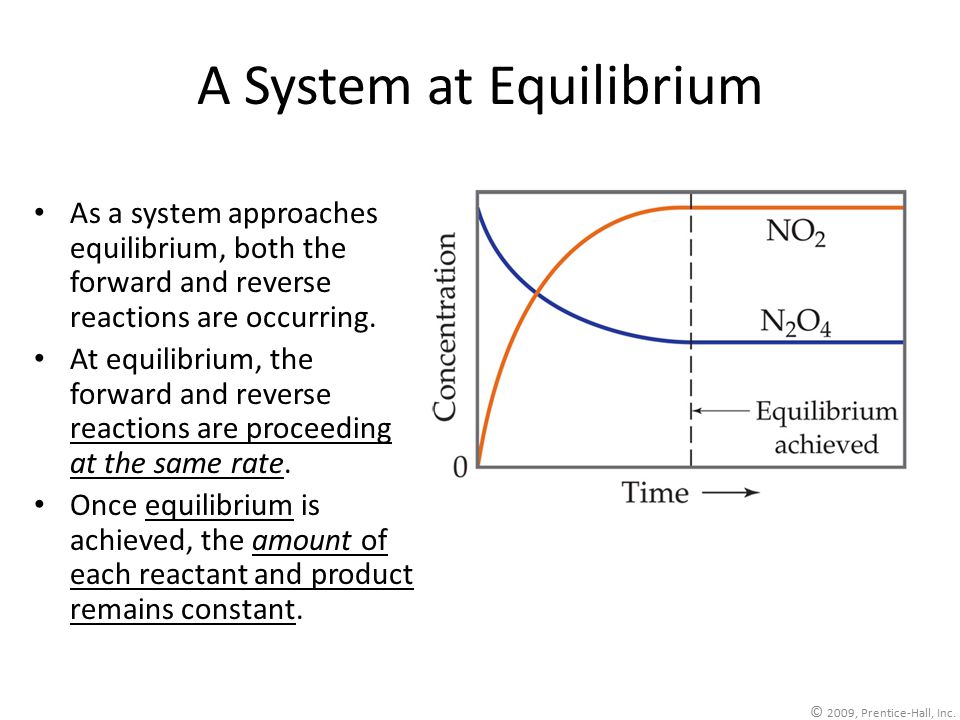A System at Equilibrium