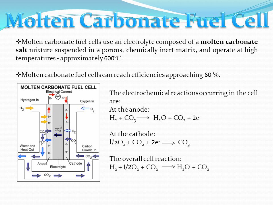 Molten Carbonate Fuel Cell