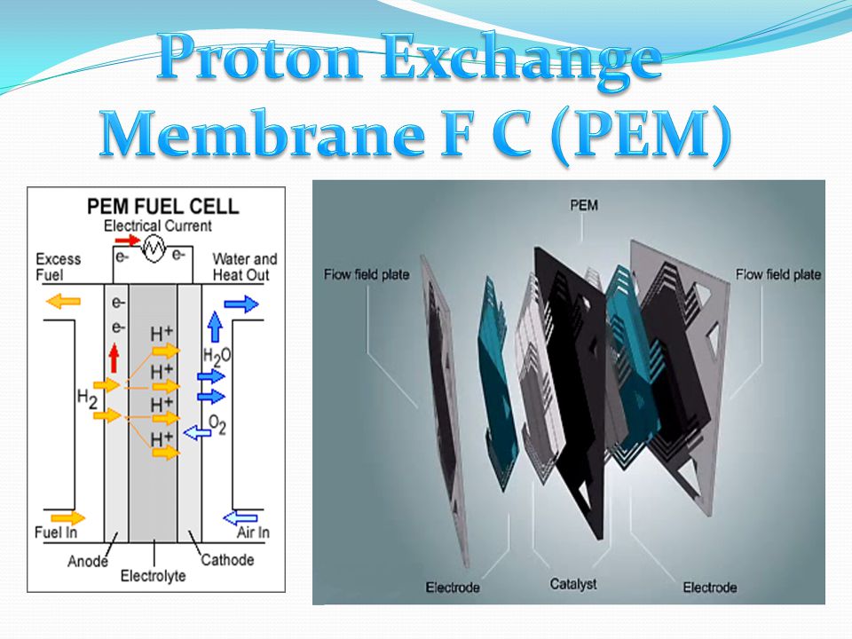 Proton Exchange Membrane F C (PEM)