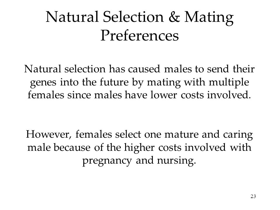Natural Selection & Mating Preferences