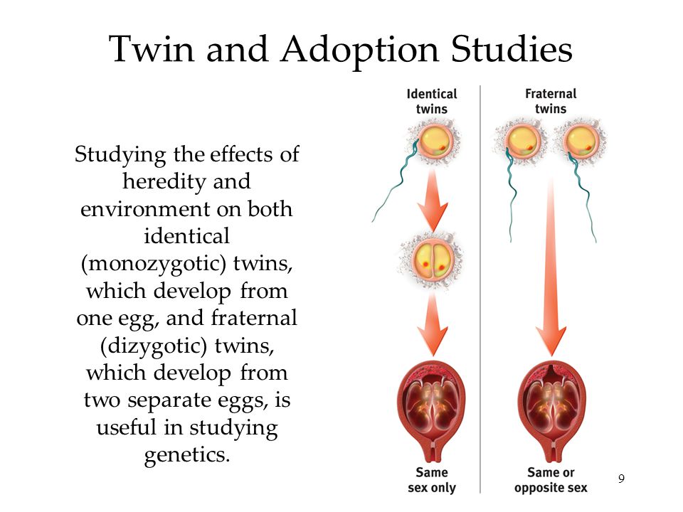 Twin and Adoption Studies