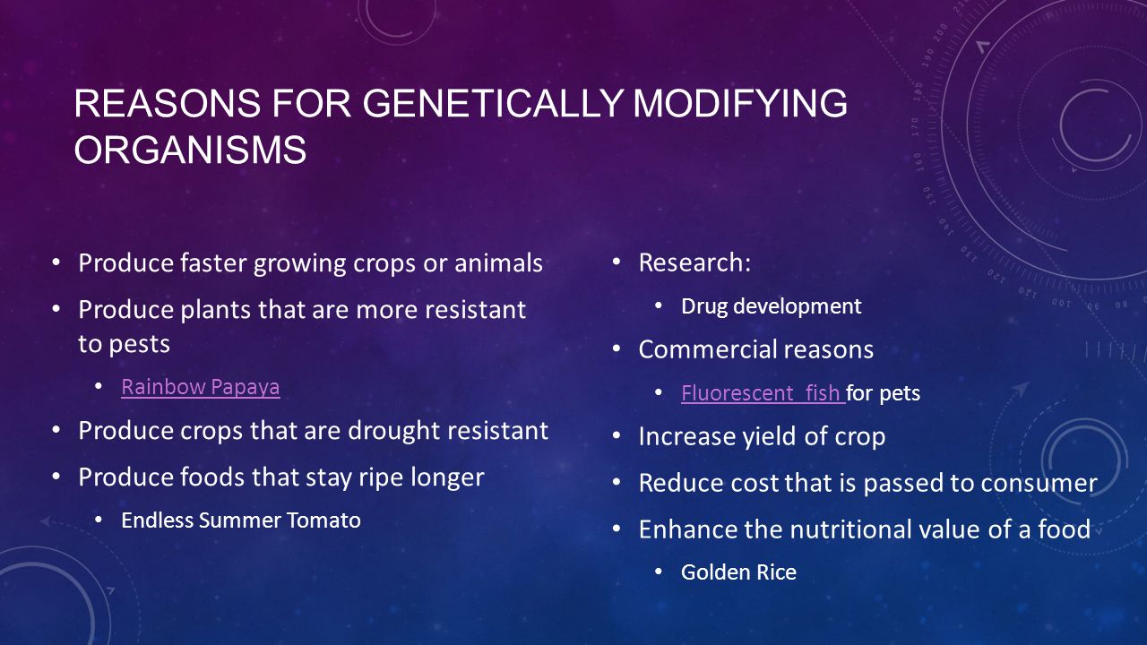 Reasons for Genetically Modifying Organisms