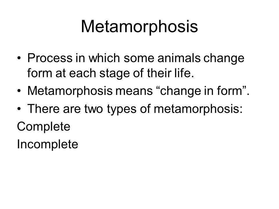 Metamorphosis Process in which some animals change form at each stage of their life. Metamorphosis means change in form .