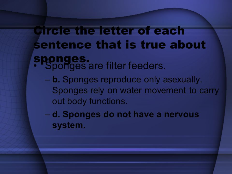 Circle the letter of each sentence that is true about sponges.