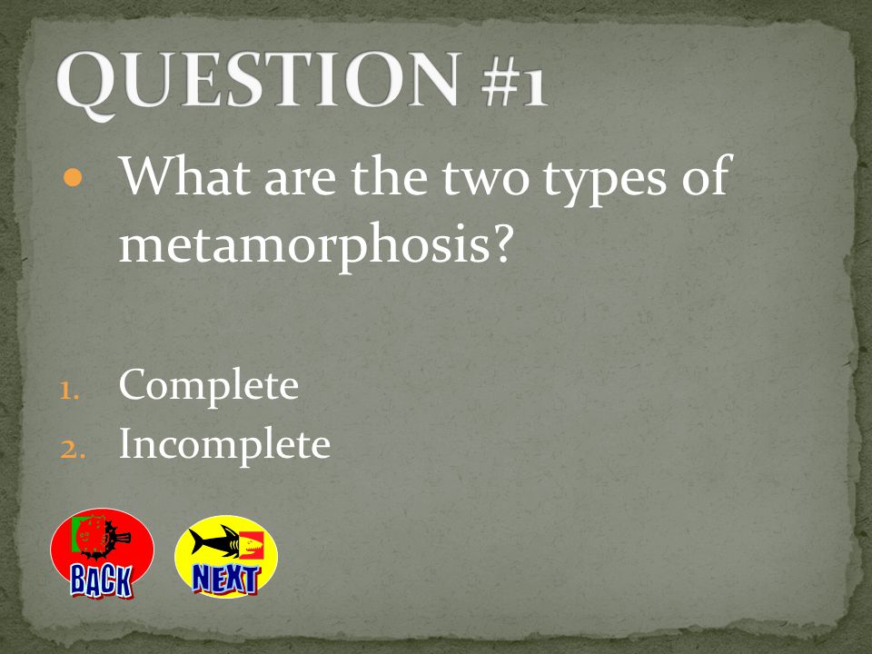 QUESTION #1 What are the two types of metamorphosis Complete