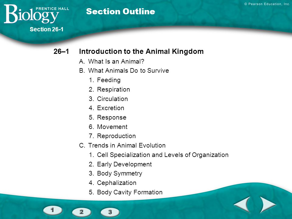 Section Outline 26–1 Introduction to the Animal Kingdom