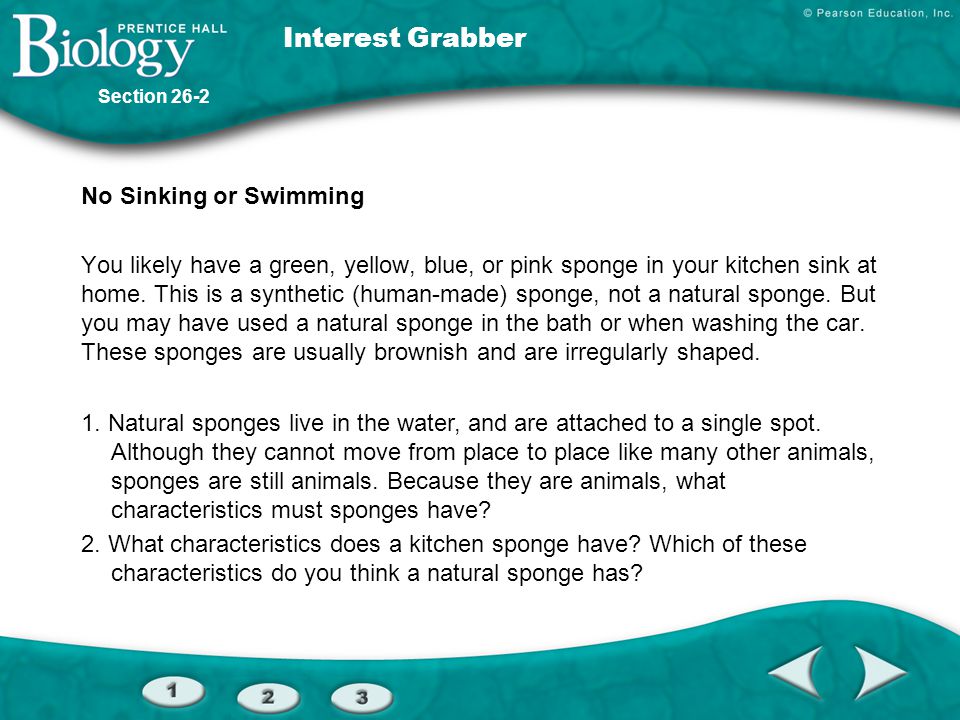 Interest Grabber No Sinking or Swimming