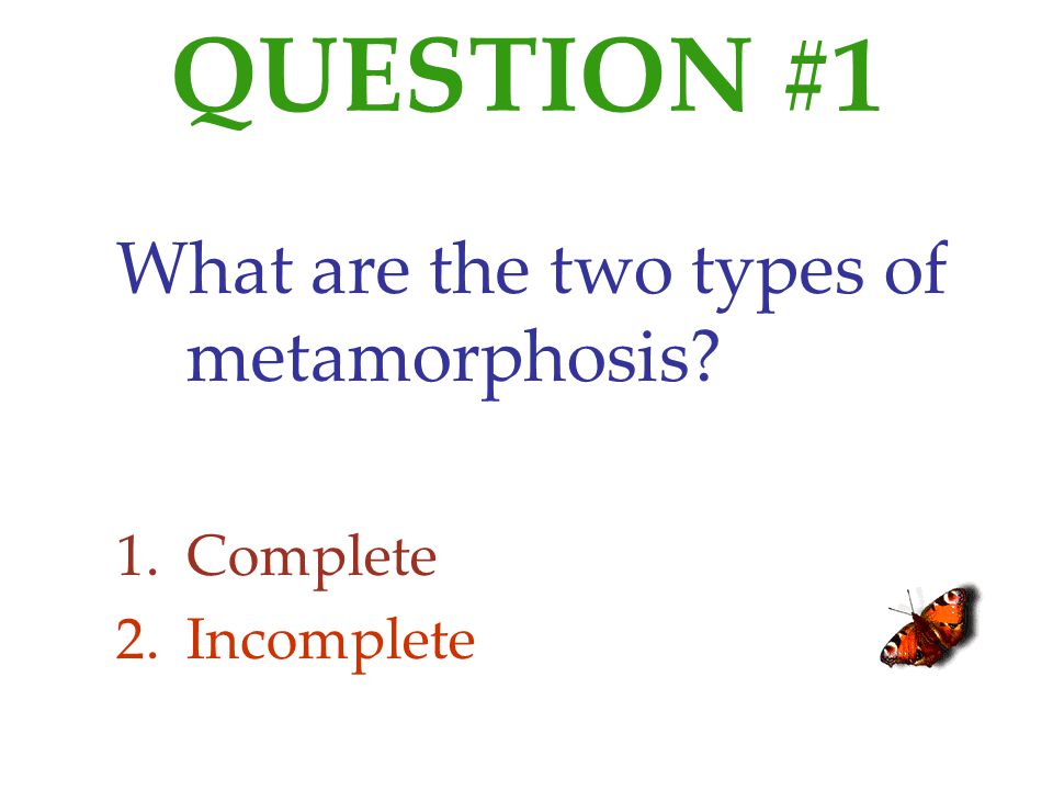 QUESTION #1 What are the two types of metamorphosis Complete