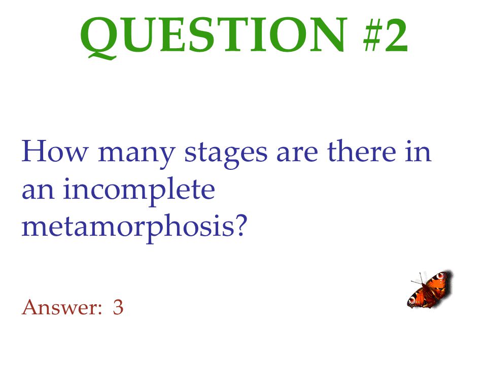 QUESTION #2 How many stages are there in an incomplete metamorphosis