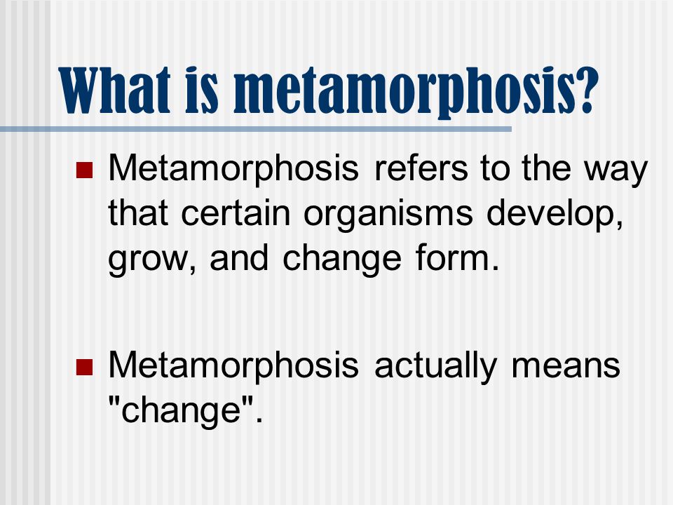 What is metamorphosis Metamorphosis refers to the way that certain organisms develop, grow, and change form.