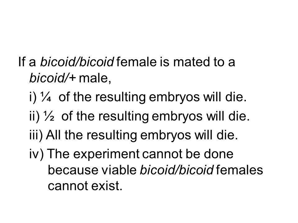 If a bicoid/bicoid female is mated to a bicoid/+ male,