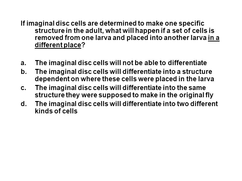 The imaginal disc cells will not be able to differentiate