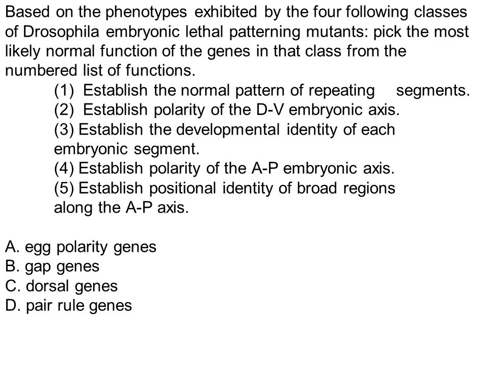 Based on the phenotypes exhibited by the four following classes of Drosophila embryonic lethal patterning mutants: pick the most likely normal function of the genes in that class from the numbered list of functions. (1) Establish the normal pattern of repeating segments. (2) Establish polarity of the D-V embryonic axis. (3) Establish the developmental identity of each embryonic segment. (4) Establish polarity of the A-P embryonic axis. (5) Establish positional identity of broad regions along the A-P axis. A. egg polarity genes B. gap genes C. dorsal genes D. pair rule genes