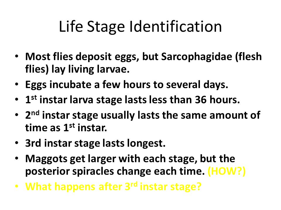 Life Stage Identification