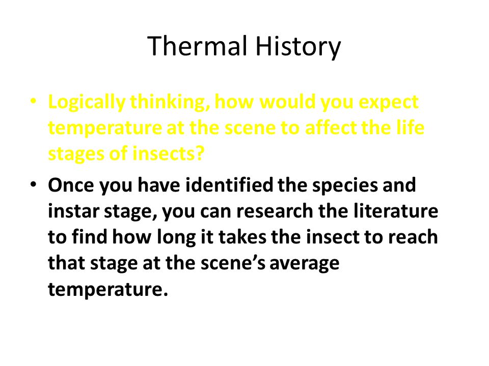 Thermal History Logically thinking, how would you expect temperature at the scene to affect the life stages of insects