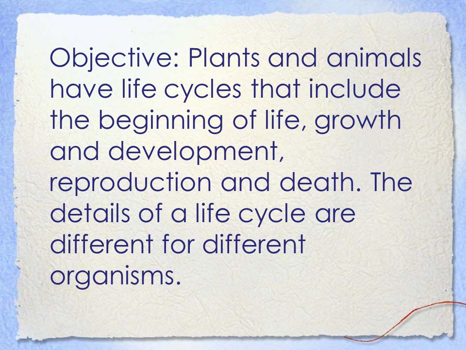 Objective: Plants and animals have life cycles that include the beginning of life, growth and development, reproduction and death.