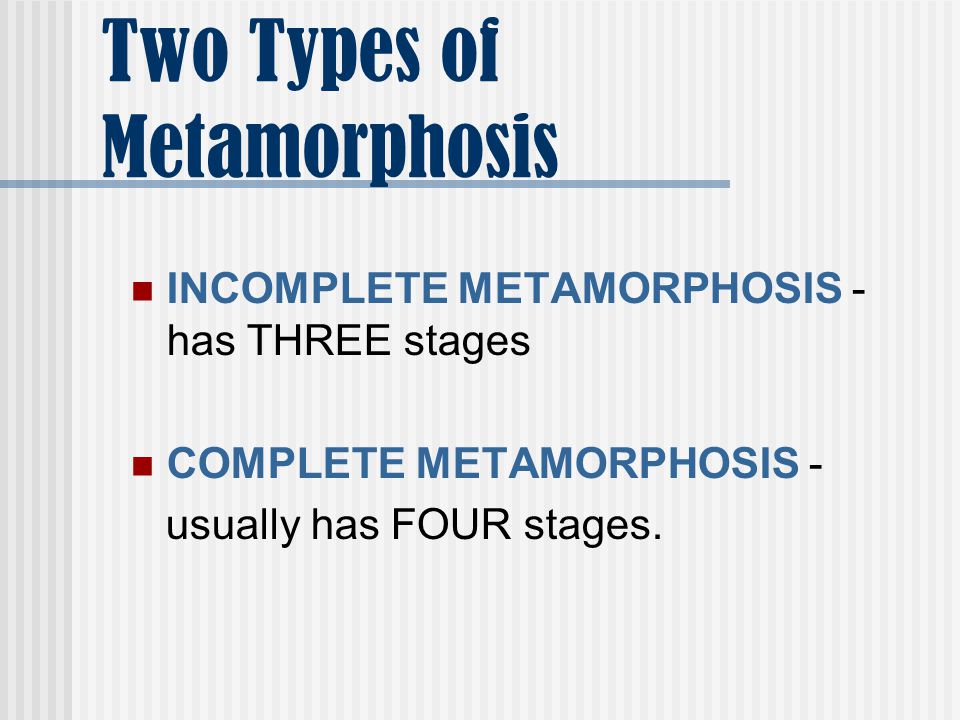 Two Types of Metamorphosis