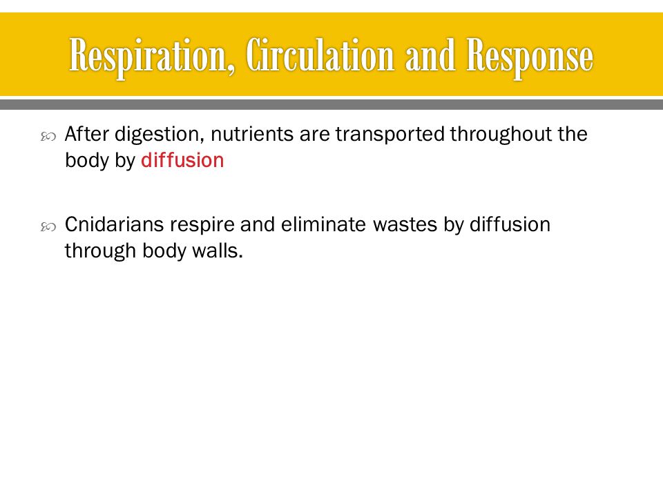 Respiration, Circulation and Response