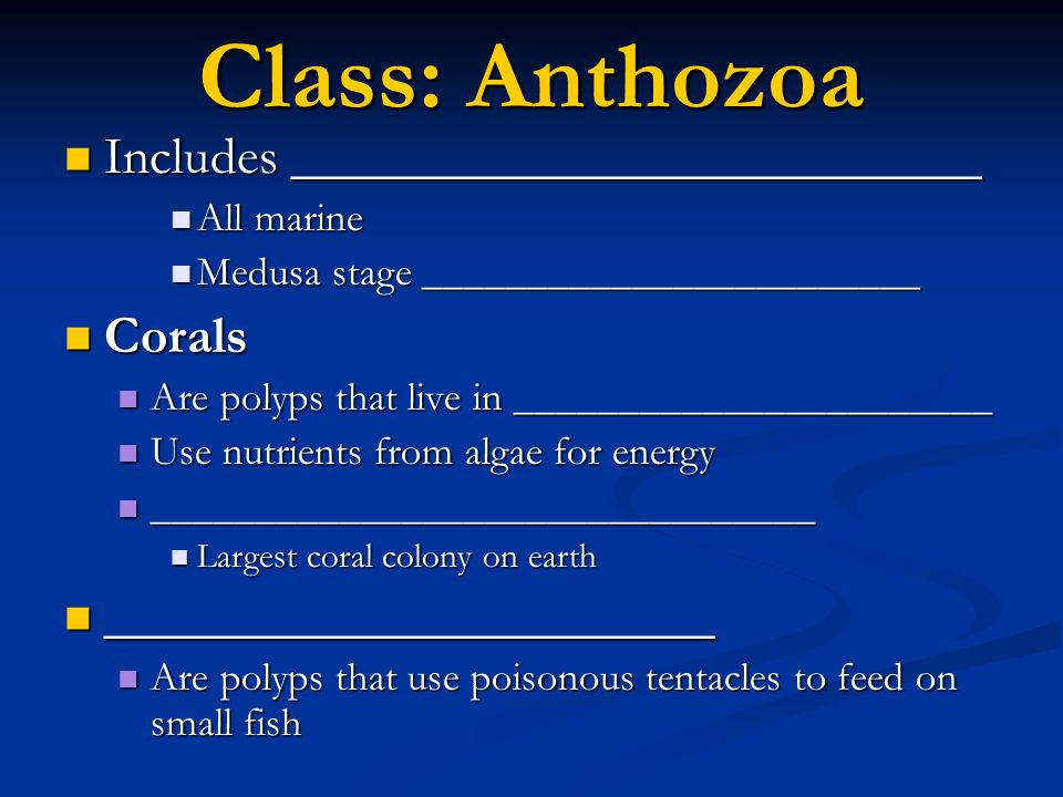 Class: Anthozoa Includes __________________________ Corals