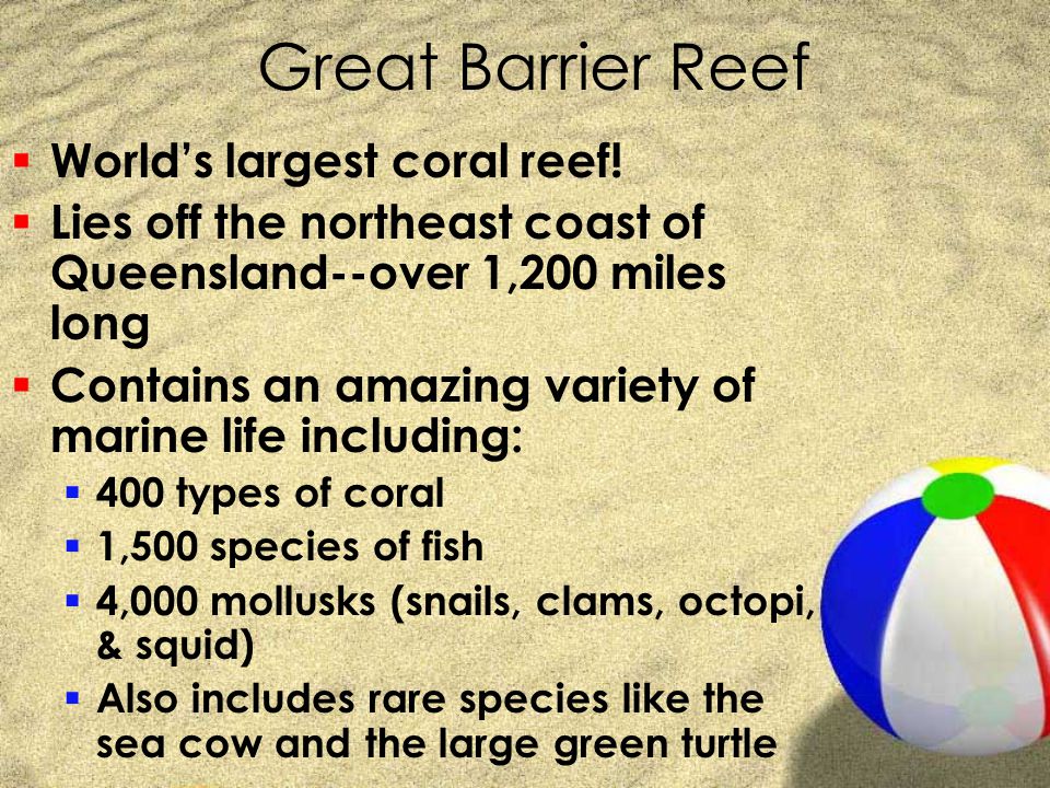 Great Barrier Reef World’s largest coral reef!