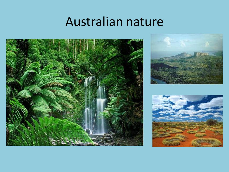 Australian nature