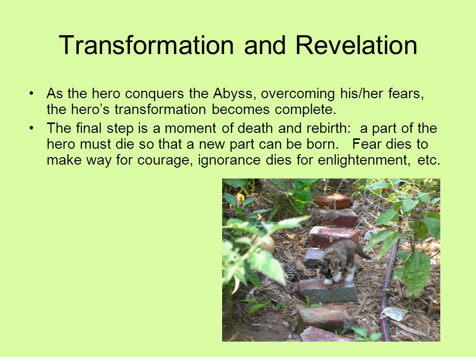 Transformation and Revelation