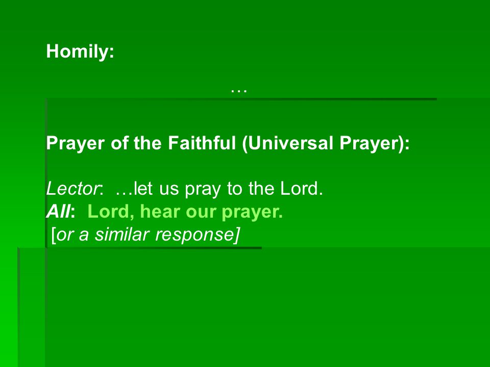 Homily: … Prayer of the Faithful (Universal Prayer): Lector: …let us pray to the Lord. All: Lord, hear our prayer.