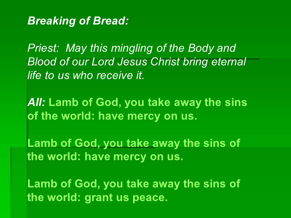 Breaking of Bread: Priest: May this mingling of the Body and Blood of our Lord Jesus Christ bring eternal life to us who receive it.