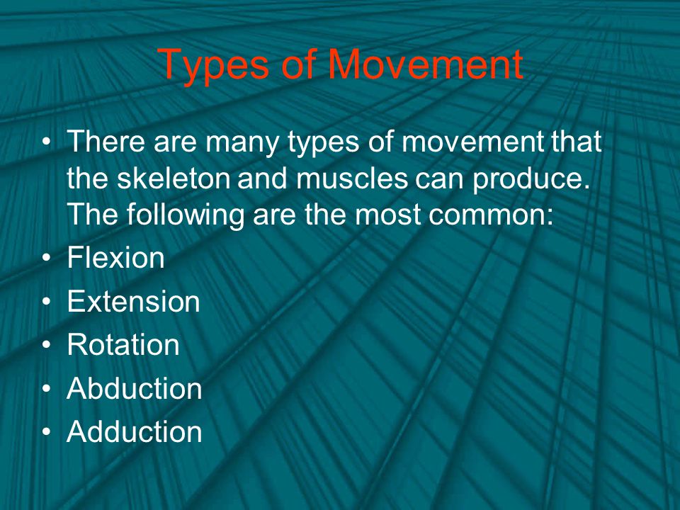 Types of Movement There are many types of movement that the skeleton and muscles can produce. The following are the most common: