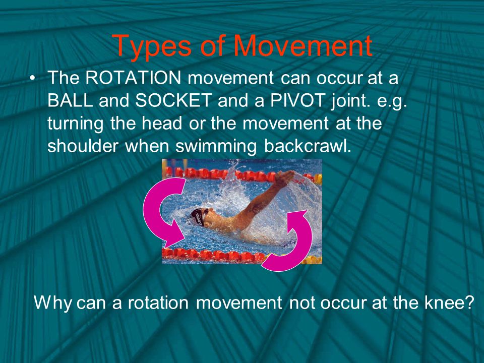 Types of Movement
