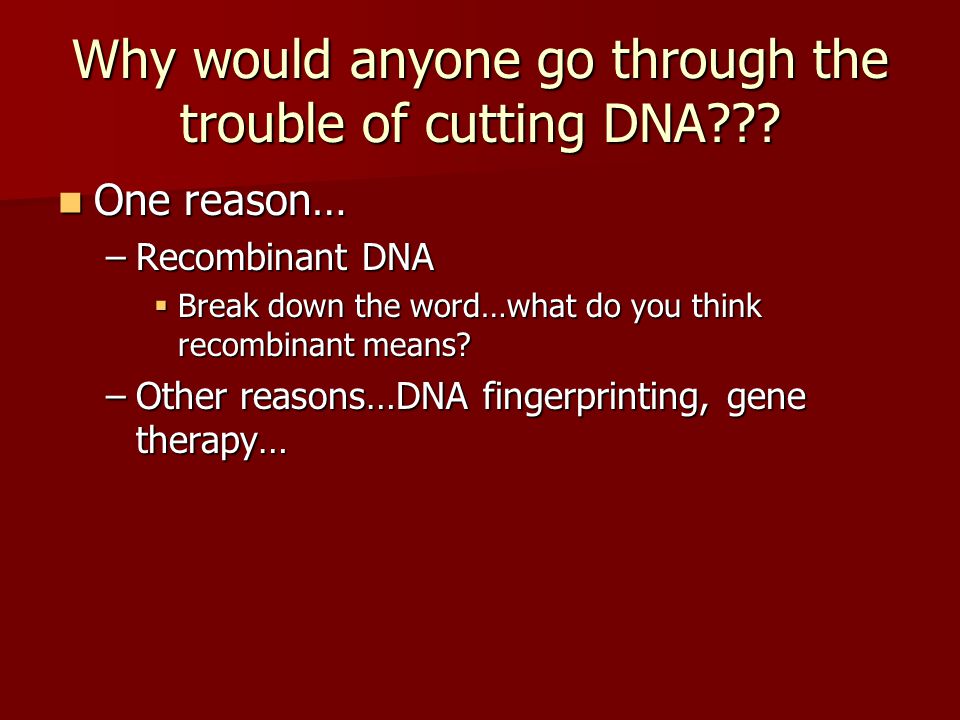 Why would anyone go through the trouble of cutting DNA