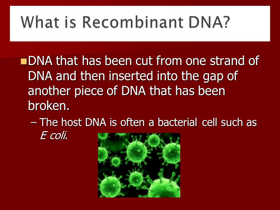 DNA that has been cut from one strand of DNA and then inserted into the gap of another piece of DNA that has been broken.