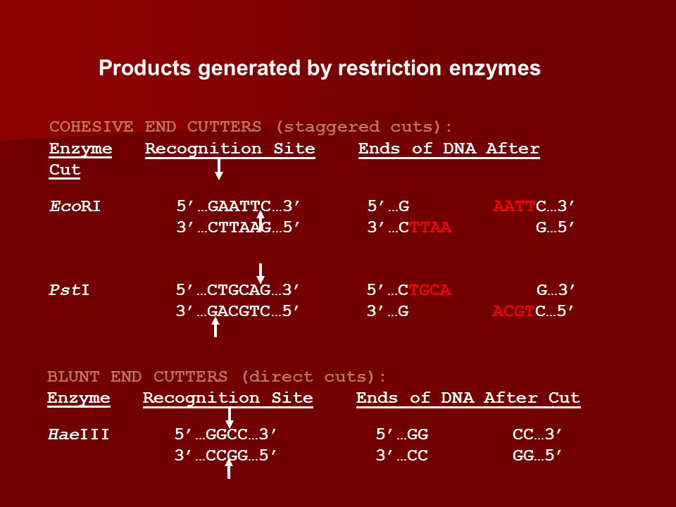 Products generated by restriction enzymes