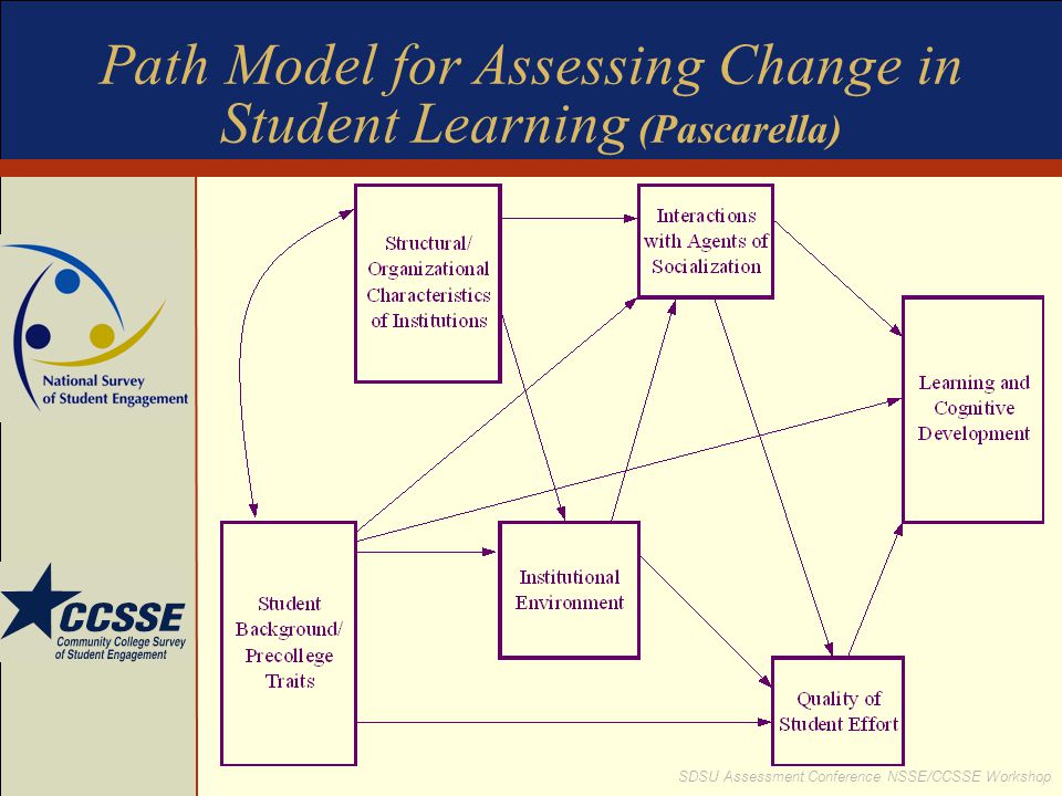 Path Model for Assessing Change in Student Learning (Pascarella)