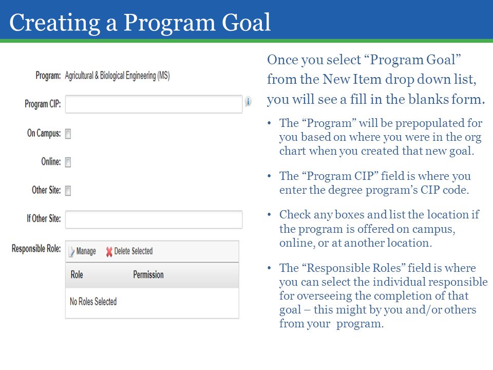 Creating a Program Goal
