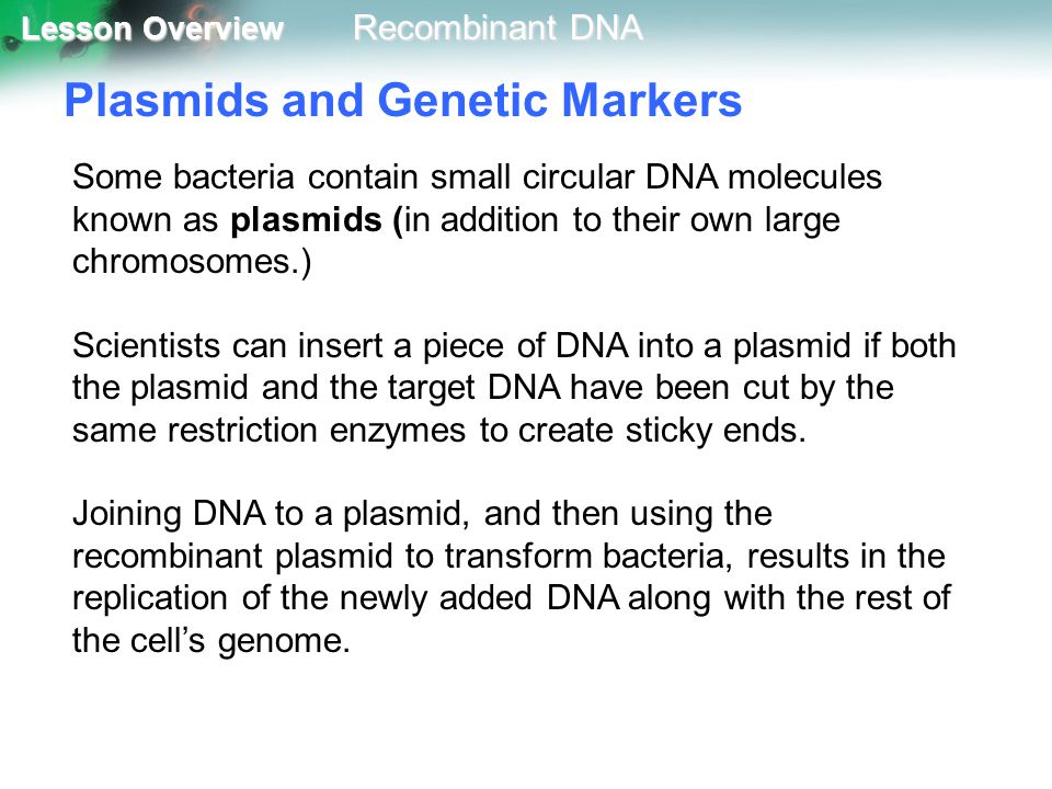 Plasmids and Genetic Markers