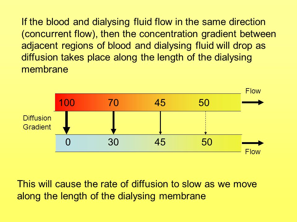 If the blood and dialysing fluid flow in the same direction (concurrent flow), then the concentration gradient between adjacent regions of blood and dialysing fluid will drop as diffusion takes place along the length of the dialysing membrane